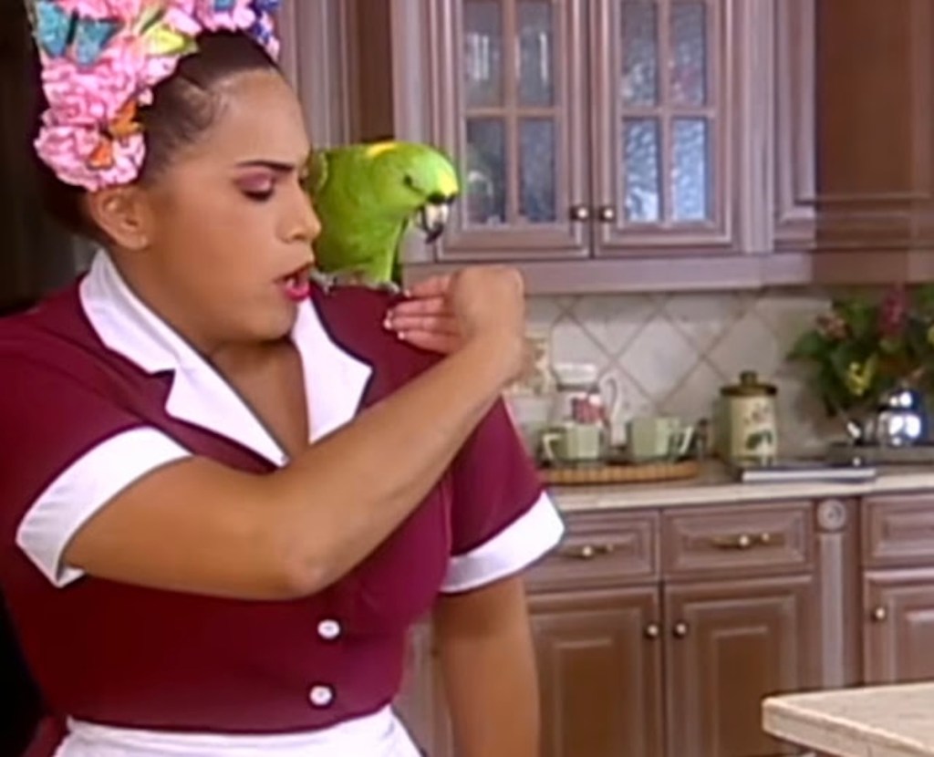 Una mujer en un uniforme de sirvienta interactúa con un loro en una cocina, mientras expresa sorpresa o emoción.